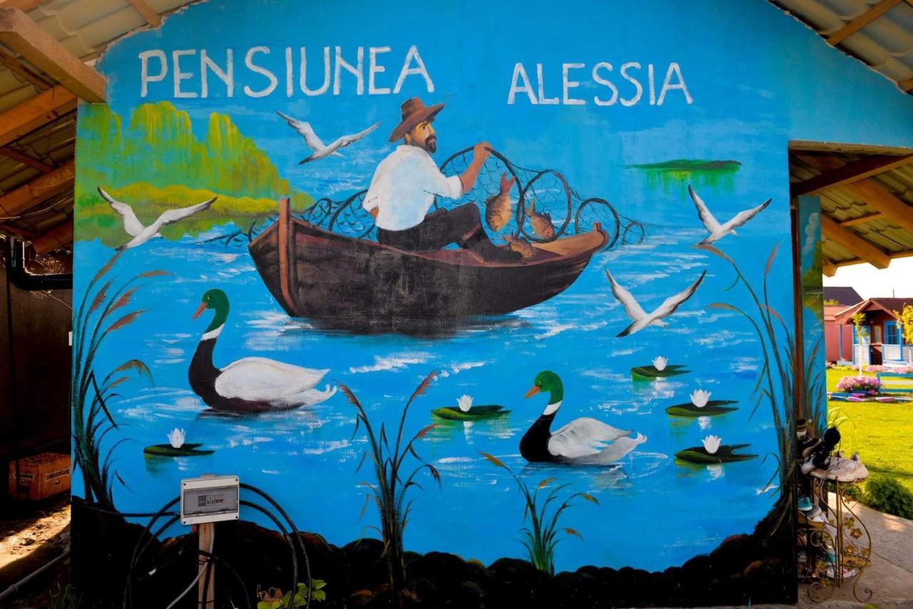 Pensiunea Alessia Murighiol Eksteriør billede